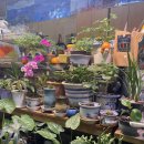 삼삼구이통닭 | 삼삼구이 통닭