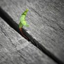 유니콘 행정사 사무소 이미지