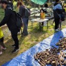 도담소리숲 유치원 이미지