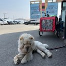 바바스구름카페