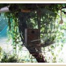 광표농장 이미지