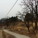 컨설팅월드공인중개사이수희사무소 이미지