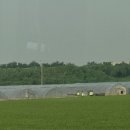 부평2리 이미지