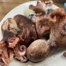 가락시장(8)역(개찰구 밖) | 가락시장 수산시장 횟집추천 영흥수산 내돈내산 + 꿀팁 / 통장은 눈 감아 (feat. 돌돔)