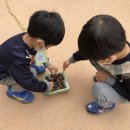 중곡샛별어린이집 이미지