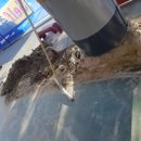 미래셀프주유소 이미지