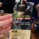미니닭날개