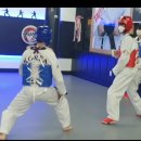 청사태권도장 이미지