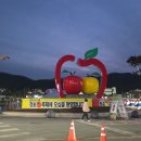 청송 사과축제 후기🔥 이미지