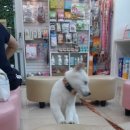 망미동물병원 이미지