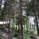 월성 산아래 글램핑 이미지