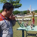 온새미로숲학교사회적협동조합