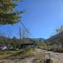 대혜골백숙 | 구미 금오산 오리백숙 맛집으로 완전 추천하는 대혜골백숙