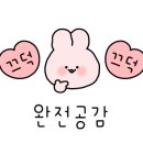 중앙꽃수족관 이미지