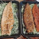 기통찬장어 이미지