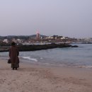 천진낭만 이미지