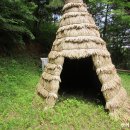 유림-1024 이미지