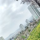 진해중흥공인중개사사무소 네이버블로그