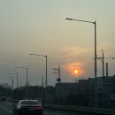 숲속노을로(1) 이미지