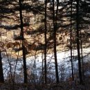 산속골농장 이미지