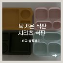 리츠전자 | 탁가온식판 vs 시리츠식판 솔직 비교 후기ㅣ뭐가 더 좋을까? 내돈내산 리뷰