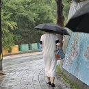 우중산책ㅡ이기대 해안길/참나리 - by 모모수계 이미지