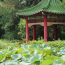 서문식물원