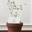 면목동-119 이미지