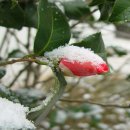 고집을 부리세요 이미지