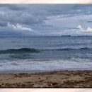 천곡방파제 이미지