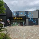 키즈카페가비(사)광주북구새마을회 | 광주 벅스랜드 저렴하게 예매하는 법 솔직한 후기