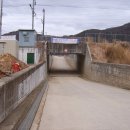 원동달팽이 이미지