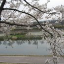 야탑길 Daum카페
