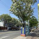 매천로2길 이미지