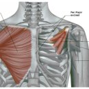 근육다짐 이미지