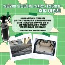 썬라이브 - 양양군 남문9길 4 | 썬라이브