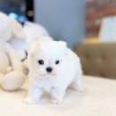 제일미용타운 이미지