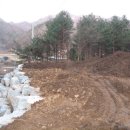 다모아 민박펜션 이미지