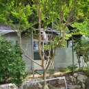 대목농장 이미지