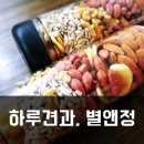 별앤정
