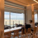 1343 | 강원도 양양 하조대 근처 반려견 동반 가능 브런치 카페 A3 CAFE