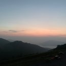 일출 난 농원 이미지