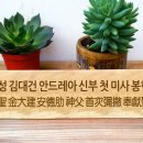 성상 이미지