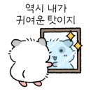 뉴대구사우나 이미지