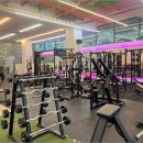 라임레이디 이미지