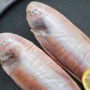 내고향젓갈상회 이미지