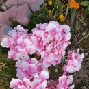 명랑공인중개사사무소 이미지