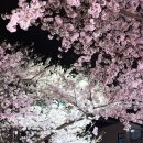 울산태화동우체국 이미지