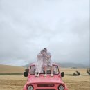 마하목장 | [2025년 11월_나트랑 2] 판랑투어 ㅣ 사막투어 ㅣ 롯데마트 골드코스트점 배달 ㅣ CCCP 카페 ㅣ 짜오...