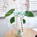 이정원헤어 이미지